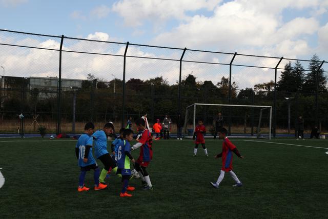 媒体人：中国男篮与李凯尔继续合作的几率很低